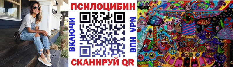 Псилоцибиновые грибы прущие грибы  Купить  Цивильск 